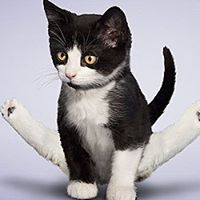 Bootsie Bennett Photo 2