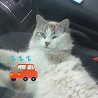 Janet Neufeld Photo 11