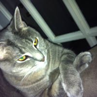 Michelle Savoie Photo 27