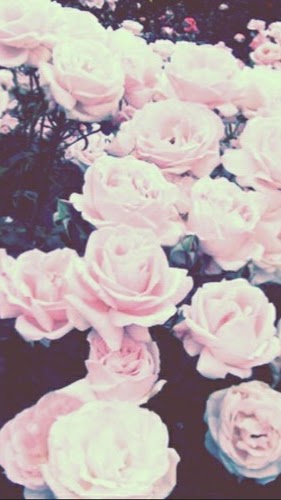 Alyssa Wilkinson Photo 7