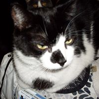 Janice Beall Photo 2