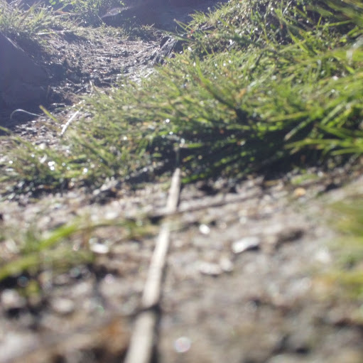 Richard Reichert Photo 32