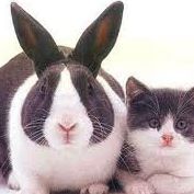 Cory Brooks Photo 35