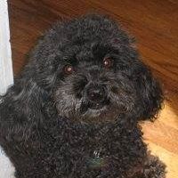 William Henning Photo 27