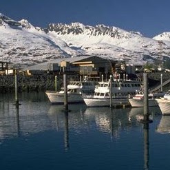 Jeremy Chapman Photo 29