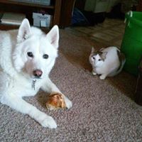 Rebecca Gillespie Photo 17