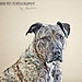 Jill Lenz Photo 14