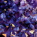 Crystal Rich Photo 39