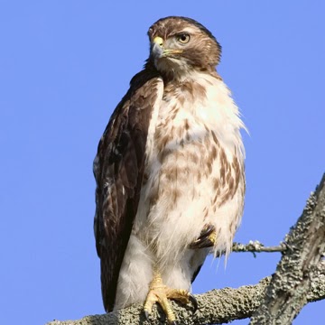 Kevin Fitzpatrick Photo 37 Kevin Fitzpatrick Photo 37