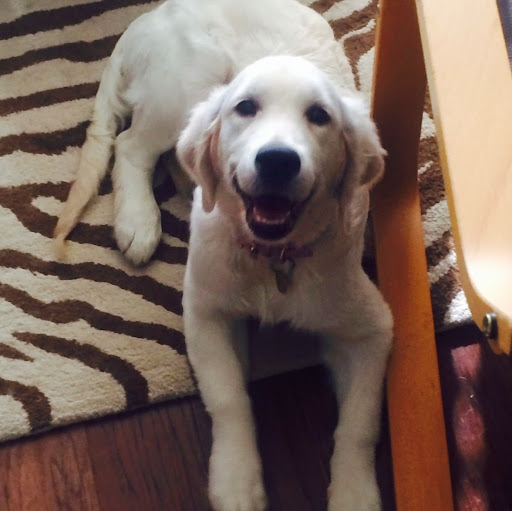 Christine Coughlin Photo 16