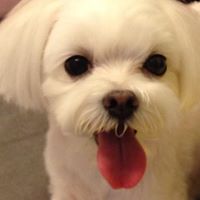 Jiang Jiang Photo 20