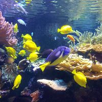 Francis Cheung Photo 16