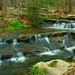 Geraldine Branch Photo 20