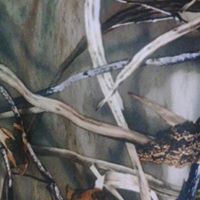 Derrick Bergeron Photo 10