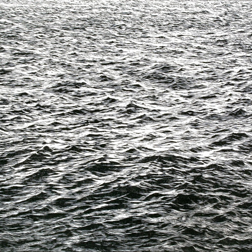 Steven Jewett Photo 15