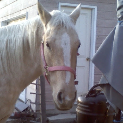 Christine Conway Photo 21