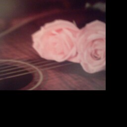 Susan Caputo Photo 38