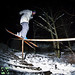 Kevin Curran Photo 27