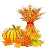 Ann Andersen Photo 20