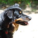 Bruce Laney Photo 5