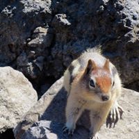 Kathryn Temple Photo 22