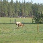 Jeannie Mccormick Photo 6