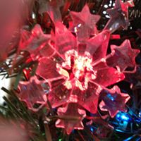 Carol Dewitt Photo 14