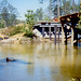 Carrie Speck Photo 10