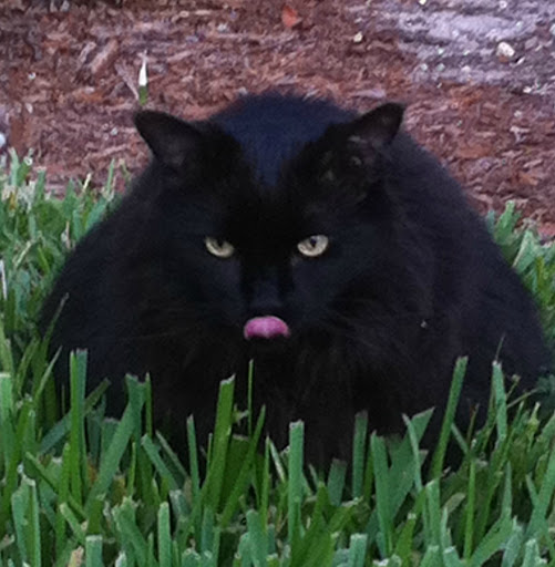 Marc Kramer Photo 32