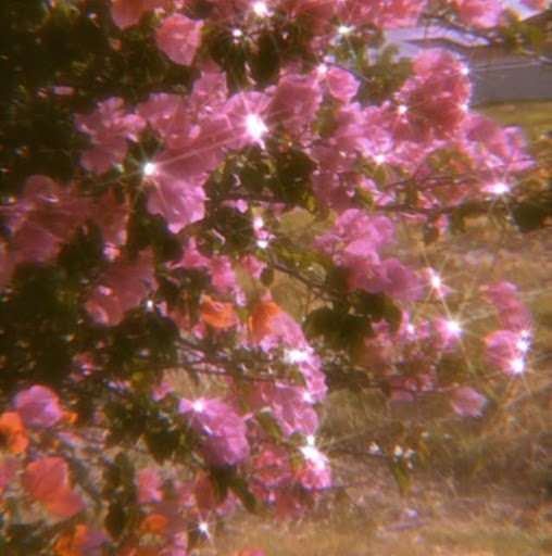 Jennifer Akers Photo 18