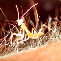 Brad Mathews Photo 15