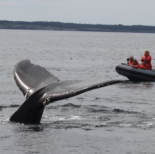 Robert Donovan Photo 33