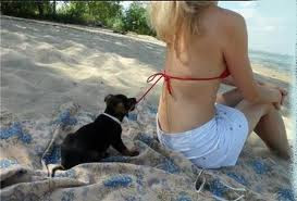 Victoria Stevens Photo 43