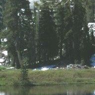 Charlotte Tracy Photo 11