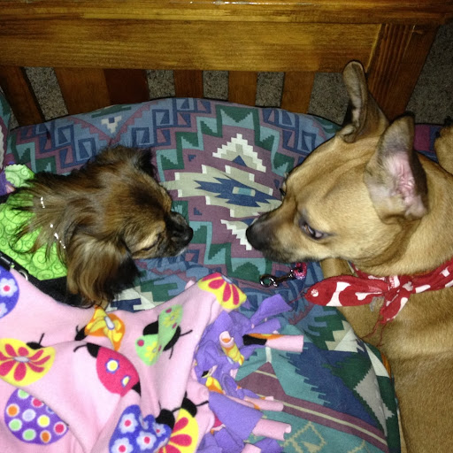 Nancy Lutz Photo 12
