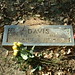 Susan Burrell Photo 10