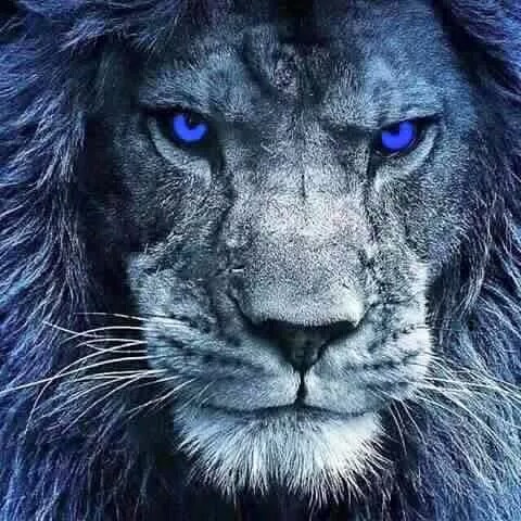 Adriane Jackson Photo 9