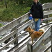 Lisa Klinger Photo 29