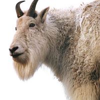 Ray Barker Photo 27 Ray Barker Photo 27