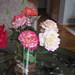 Kathy Workman Photo 38
