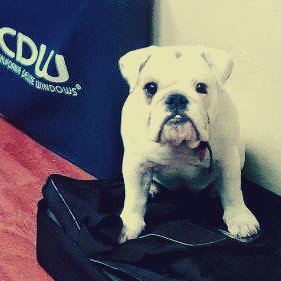 Abigail Ellis Photo 4