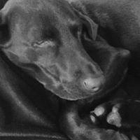 Michael Garvey Photo 41 Michael Garvey Photo 41