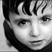 Thomas Rains Photo 12