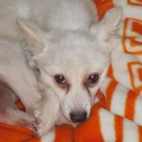 Stephanie Corbin Photo 23