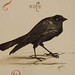 Richard Fetters Photo 22
