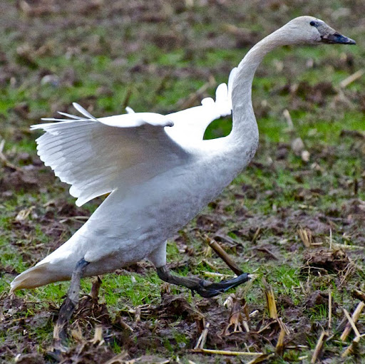 Tracy Farrell Photo 16