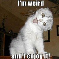 Bruce Hedrick Photo 4