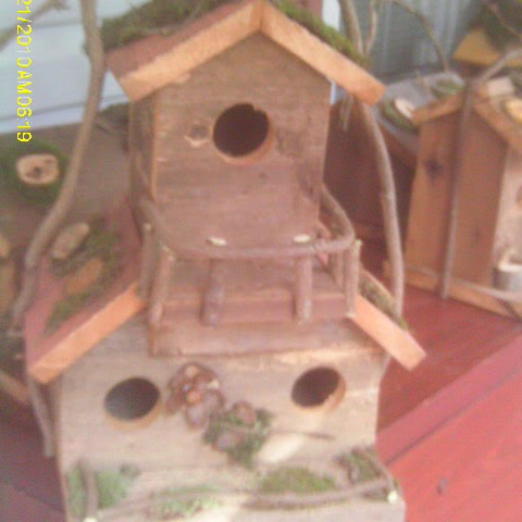 Sharon Dodd Photo 15