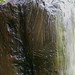 Kenneth Gibbs Photo 16