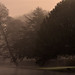 Russell Kent Photo 18